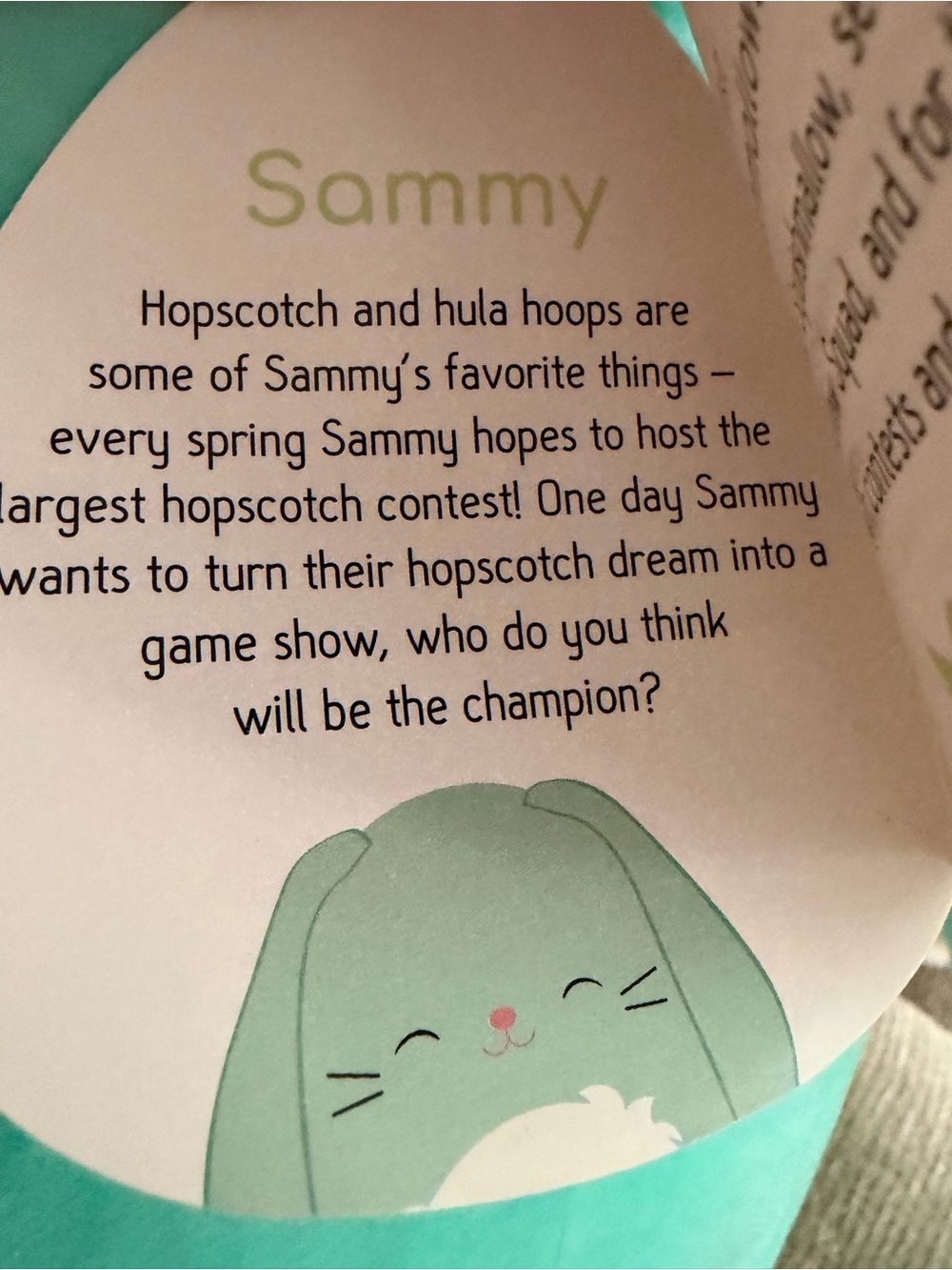 Squishmallows 12” Sammy Mint Bunny Rabbit with Fuzzy Tummy Ears NWT - Picture 2 of 8